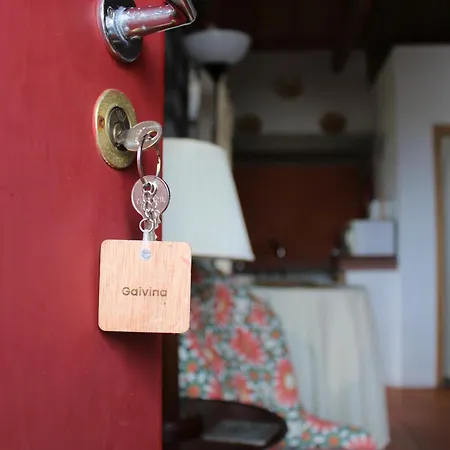 Aldeia Cagarras Santo Amaro (Azores)